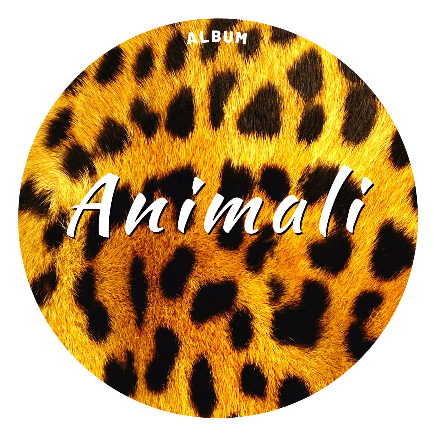 Cover Piume di pavone - foto con effetto rilievo dell'album Animali di –   - Ideandoo