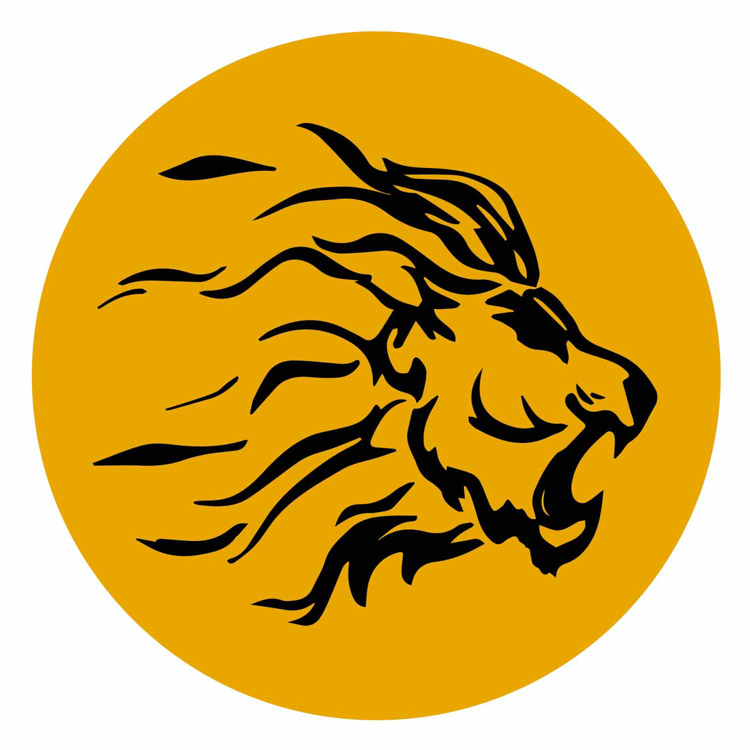 Lions Bergamo