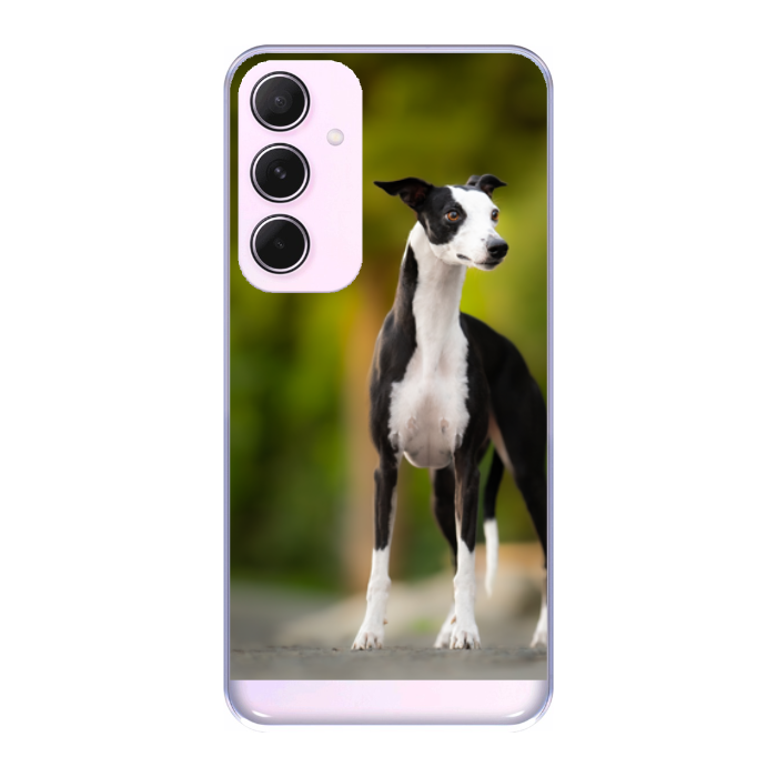 Cover personalizzata Samsung A55