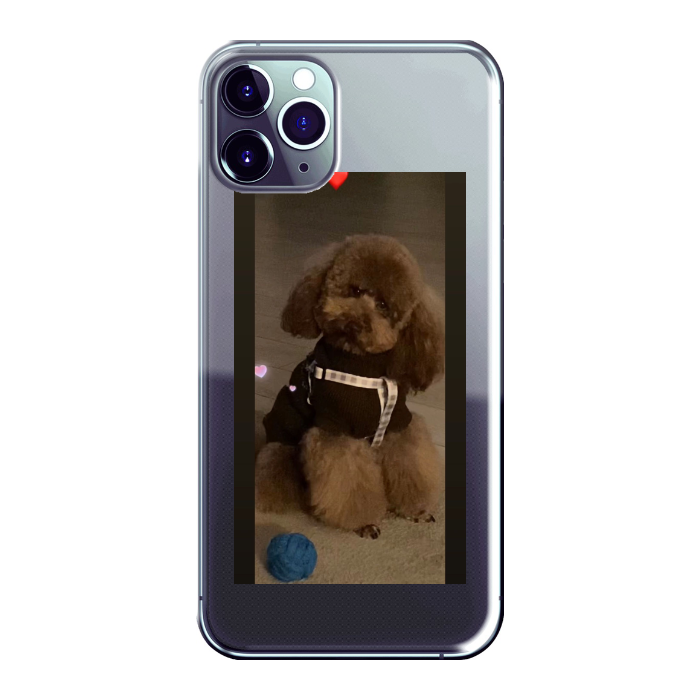 Cover personalizzata iPhone 11 Pro Max