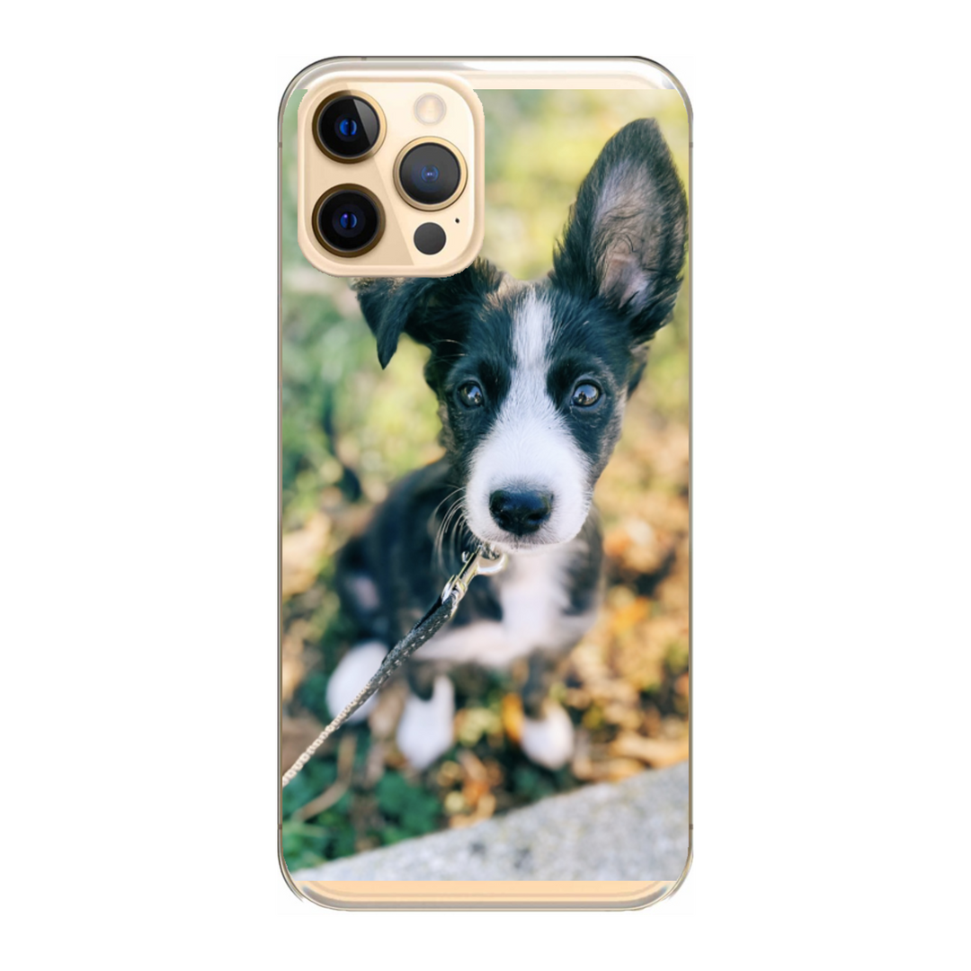Cover personalizzata iPhone 12 Pro Max