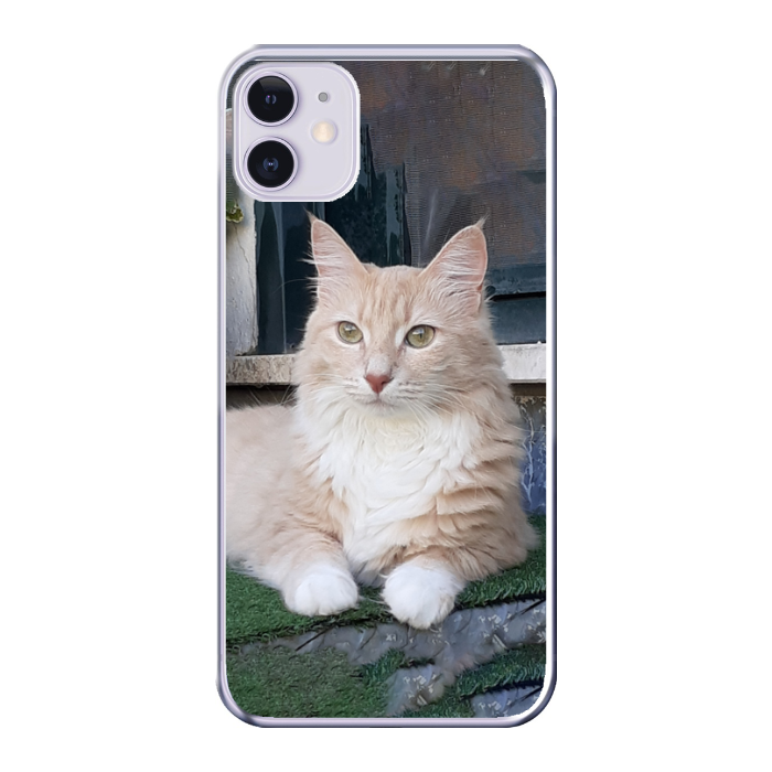 Cover personalizzata iPhone 11