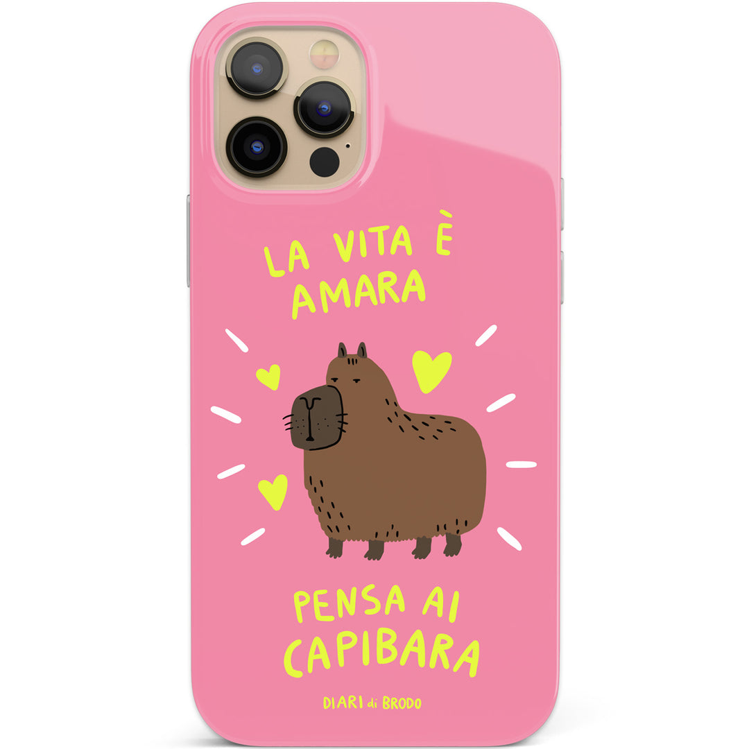 Cover Capibara dell'album Tutti Frutti Summer Brodo di Diari di brodo per iPhone, Samsung, Xiaomi e altri