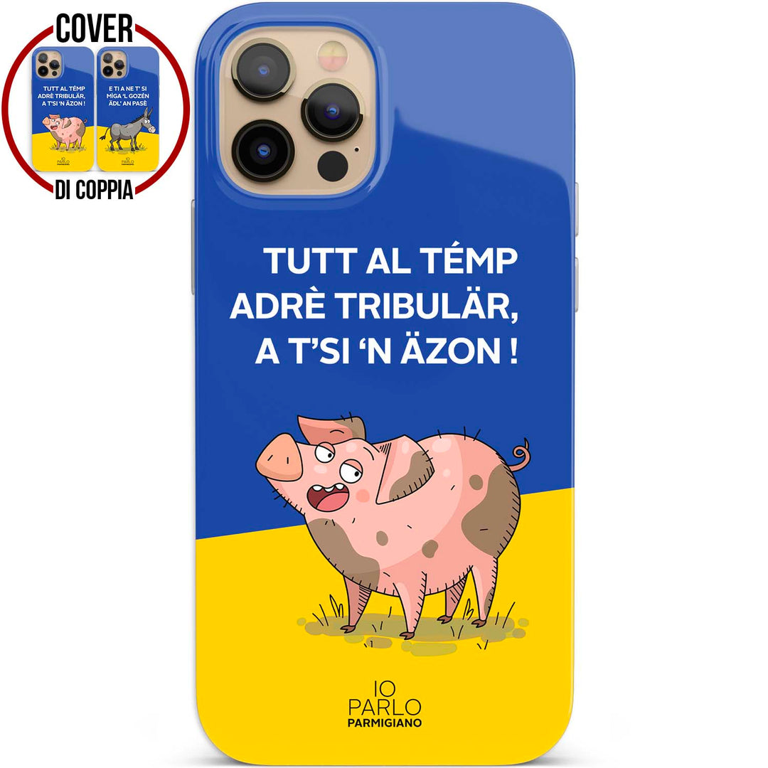 Cover Gozén (Sinistra) dell'album A T’Si Näzon! di Io parlo parmigiano per iPhone, Samsung, Xiaomi e altri