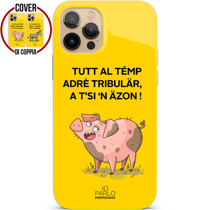Cover Gozén (Sinistra) dell'album A T’Si Näzon! di Io parlo parmigiano per iPhone, Samsung, Xiaomi e altri